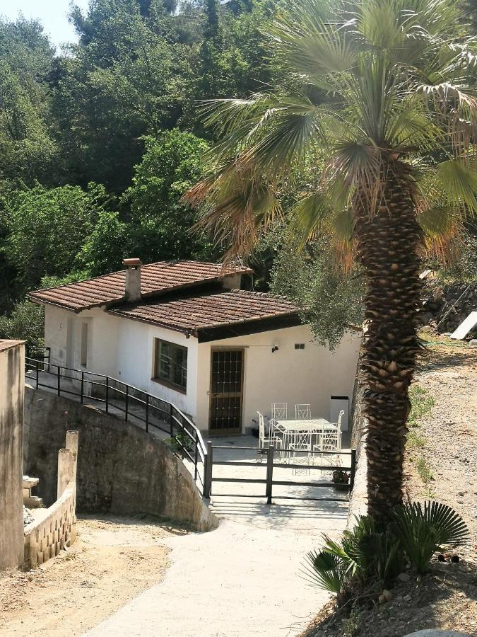 הוילה קמפורוסו La Casa Degli Ulivi מראה חיצוני תמונה